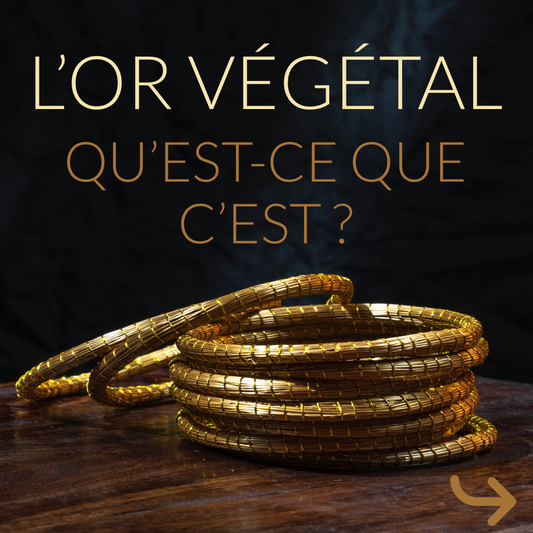 Qu'est-ce que c'est l'Or Végétal ? le "Capim Dourado" Meu Amour Brasil - Bijoux brésiliens en Or Végétal