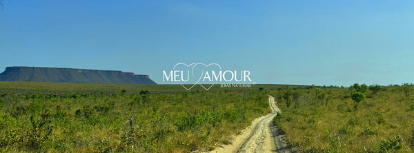 Artisanes du Jalapão